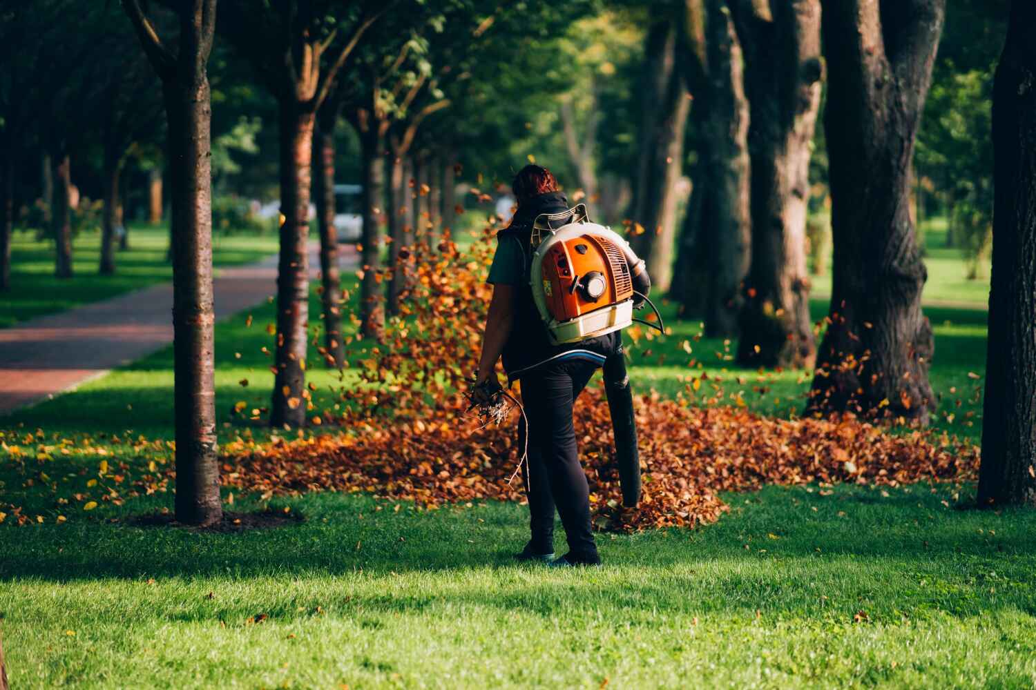 Best Tree Disease Treatment  in Marshville, NC